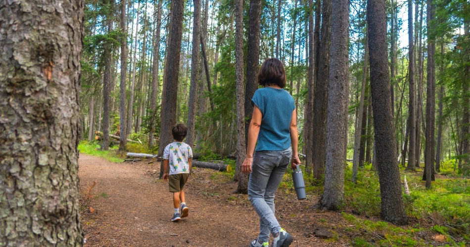Explore Anaheim Outdoors: Best Hiking, Biking & Nature Escapes